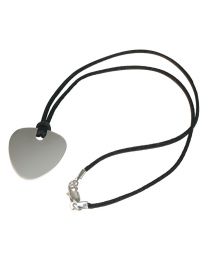 Stainless Steel Guitar Plectrum on Necklace